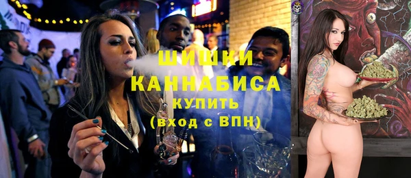 молекула духа Вязьма