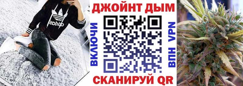 Конопля сатива Зверево